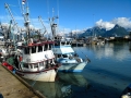 Valdez Small Boat Harbor