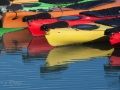 Sea Kayaks Reflections
