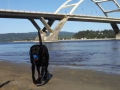 Pepper playing on beach at Alsea Bay