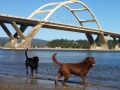 Jasmine & Pepper playing on beach at Alsea Bay