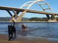 Jasmine & Pepper playing on beach at Alsea Bay