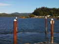 Waldport/Alsea Bay Marina