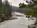 Yoho NP - Kicking Horse River