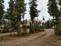 Baby Nugget RV Park - Sites