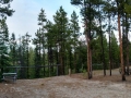 Baby Nugget RV Park - Sites