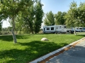 Bakersfield River Run RV Park -  Lawn