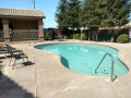 Bakersfield River Run RV Park - Swimming Pool