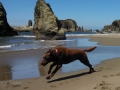 Jasmine & Pepper playing at Bandon Beach