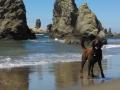 Jasmine at Bandon Beach