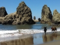 Jasmine & Pepper playing at Bandon Beach