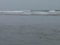 Jasmine & Pepper playing at Bandon Beach