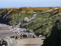 Bandon Stairs To Beach