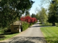 Bellingham / Lynden KOA - Entry Lane