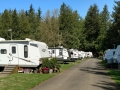 Bellingham / Lynden KOA - Seasonal Sites