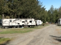 Bellingham / Lynden KOA - Sites