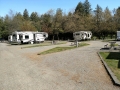 Bellingham / Lynden KOA - Sites