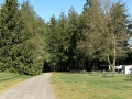 Bellingham / Lynden KOA - Sites