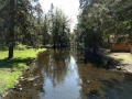 Bellingham / Lynden KOA - Stream