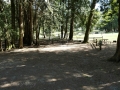 Bellingham / Lynden KOA - Tent Sites