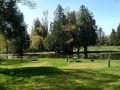 Bellingham / Lynden KOA - Tent Sites