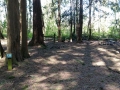 Bellingham / Lynden KOA - Tent Sites