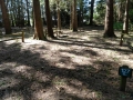 Bellingham / Lynden KOA - Tent Sites