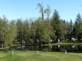 Bellingham / Lynden KOA - Tent Sites