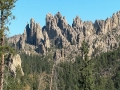 Black Hills Vista