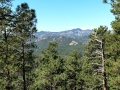 Black Hills Vista