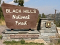 Black Hills National Forest Sign