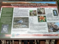 Spearfish Canyon Info