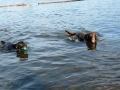 Blackwell Island RV Park - Jasmine and Pepper playing at the beach