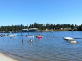 Blackwell Island RV Park - Beach