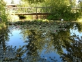 Blackwell Island RV Park - Lilly Pond