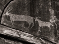 Bluff-Horse-Petroglyphs-1