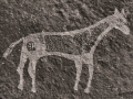 Bluff-Horse-Petroglyphs-2