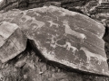Bluff-Horse-Petroglyphs-3