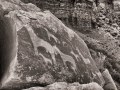Bluff-Horse-Petroglyphs-4