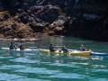 Kayakers at Gull Island