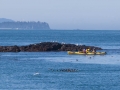 Kayakers at Gull Island