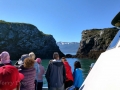 Watching Seabirds on Boat Tour