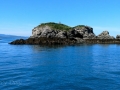 Gull Island