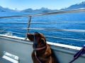 Jasmine chilling on the tour boat.