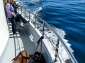 Jasmine & Pepper on Boat Tour