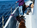 Kim & pups on Boat Tour
