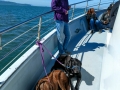 Kim & the pups on Boat Tour
