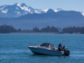 Kachemak Bay Fishermen