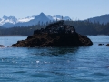 Kachemak Bay - Islands