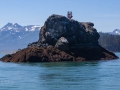 Kachemak Bay - Islands