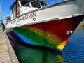 Reflections - Rainbow Connection Tour Boat